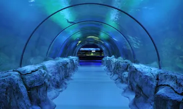 İlklerin akvaryumu ihmal kurbanı