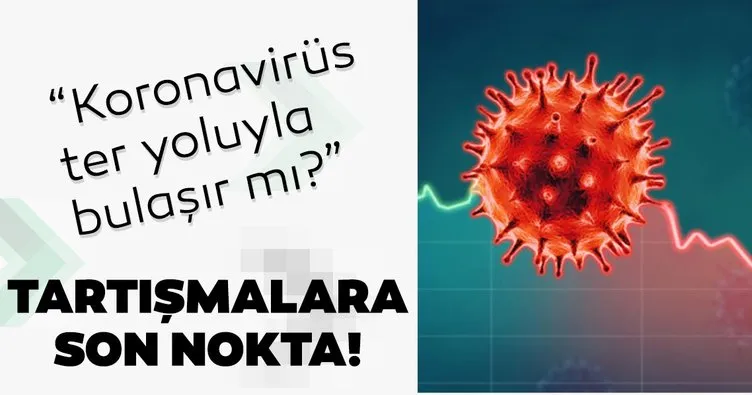 Koronavirüs ter yoluyla bulaşıyor mu? Prof. Dr. Tekin açıkladı!