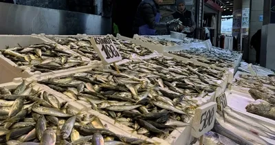 Denizlerde av yasağı başladı #trabzon