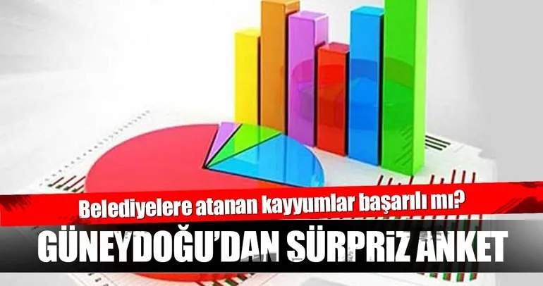 Güneydoğudan sürpriz anket