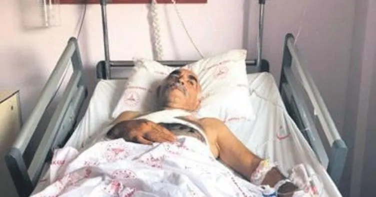 Motosikletle ayıya çarptılar