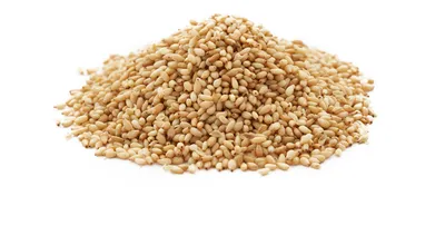 Japonların favorisi uzun yaşam sırrı: Ülkemizde bolca yetişiyor! Kanserden diyabete her şeyin şifası...