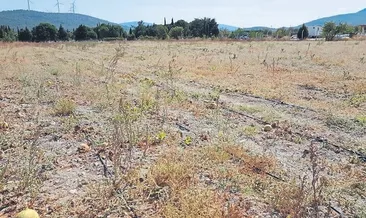 İzmir Büyükşehir’de istasyon kargaşası