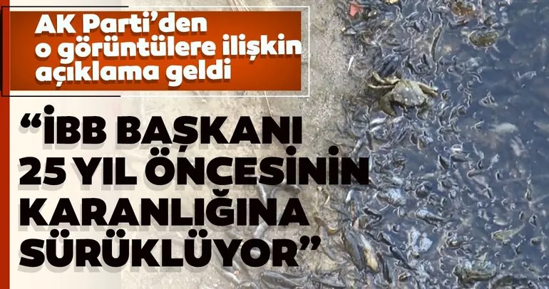 AK Parti İstanbul İl Başkanı Şenocak’tan Küçükçekmece’deki balık ölümlerine ilişkin açıklama