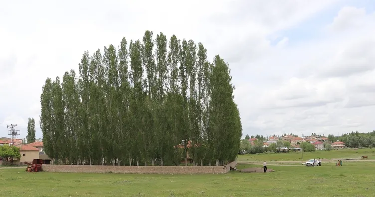 ÐаÑÑинки по запÑоÑÑ Ãongar