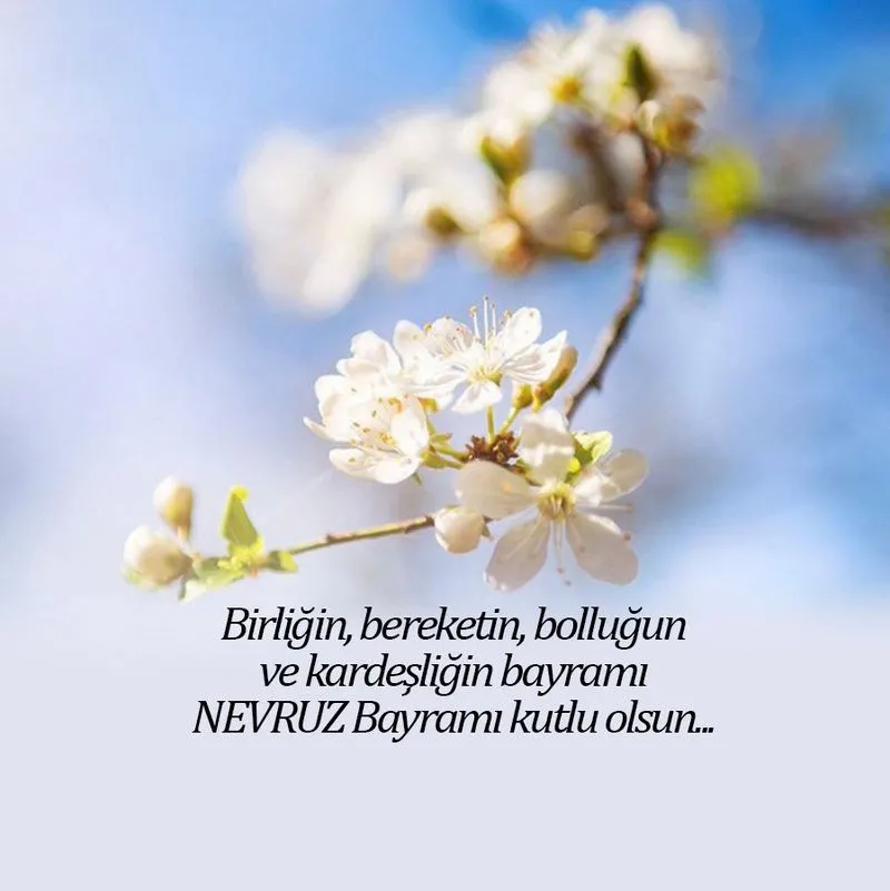 Nevruz Bayramı mesajları resimli galeri 2024: Çiçekli, farklı, en güzel 21 Mart Nevruz Bayramı kutlama mesajları paylaş!