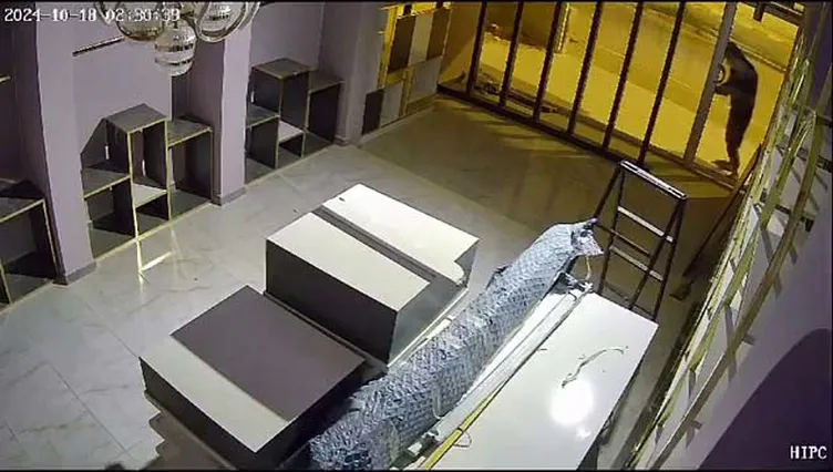 Hatay’da kundaklama vakası: Her yer kül oldu!