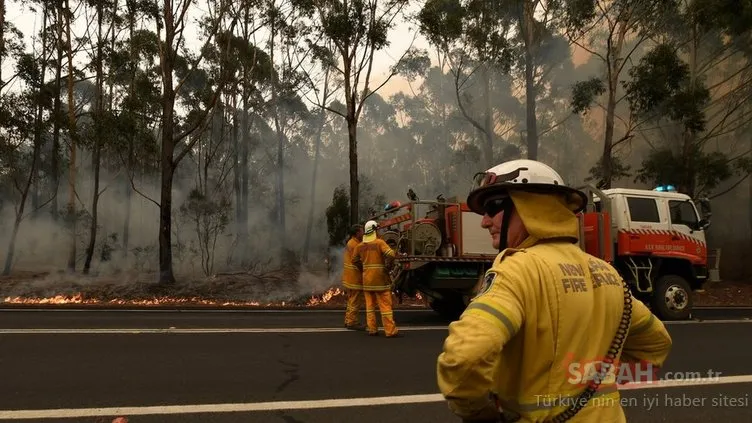 SON DAKİKA! Avustralya’daki yangın faciası için Hükümet Sözcüsü Ömer Çelik’ten flaş çağrı! Develerin ardından atları da…