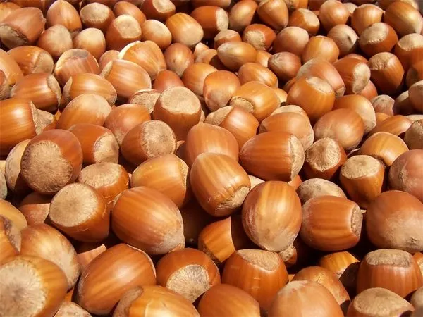 Diyetini renklendir!