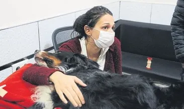 Ares, 58 saat sonra kurtarıldı