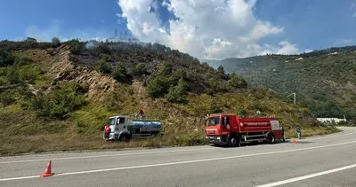 Gümüşhane'de orman yangını #gumushane