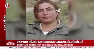 MİT’ten PKK’ya nokta operasyon! Sözde sorumlusu etkisiz | Video