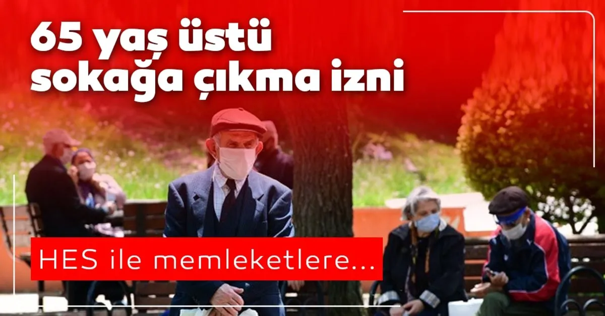 65 yas ustu seyahat izni ile ilgili son