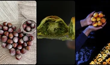 Türkiye o ürünlerle Avrupa’da birinci