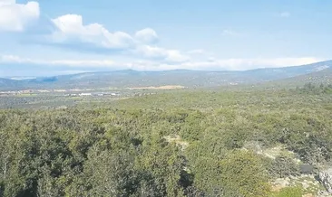 ‘Kimden yanasın?’