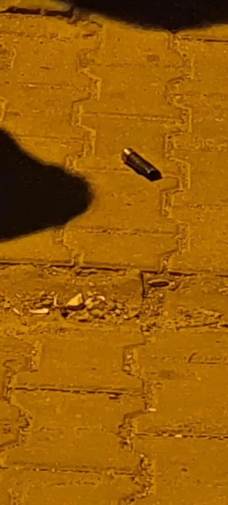 1787463568536.jpg