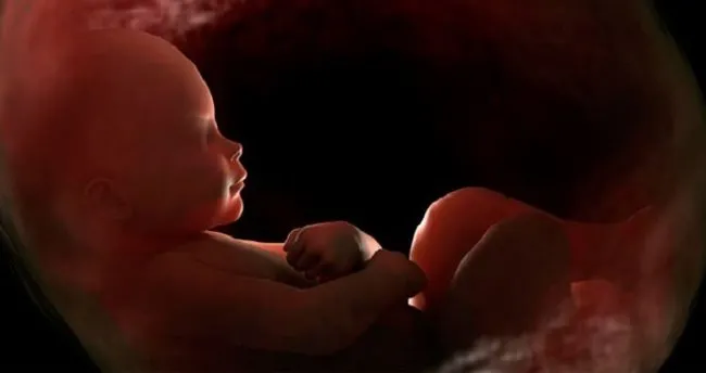 anne karnindaki hayati sivinin onemi