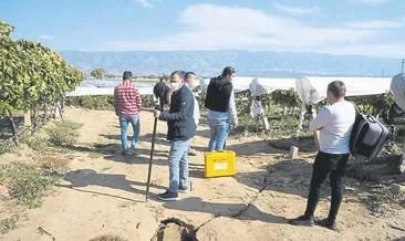 Bilim insanları yarıkları inceledi