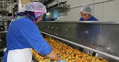 Erzincan’da Mayıs ayında ithalat arttı ihracat azaldı #erzincan