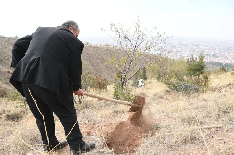 Çorak arazileri ormana dönüştürüyor: Bu benim için hobi değil yaşam tarzı