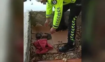 Polis yavru köpekleri soğuktan korudu