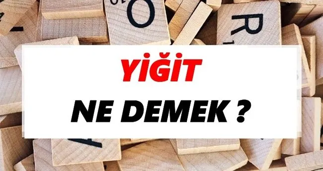 Yiğit Ne Demek? TDK’ya Göre Yiğit Sözlük Anlamı Nedir?