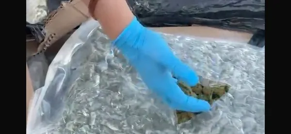 zeytinburnunda-uyusturucuya-gecit-yok-aractan-83-kilo-skunk-cikti-1787295796364.jpg