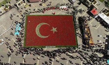 Lalelerle Türk bayrağı rekoru