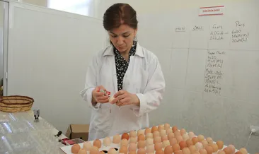 Çocuklarının alerjisi çiftlik kurdurdu