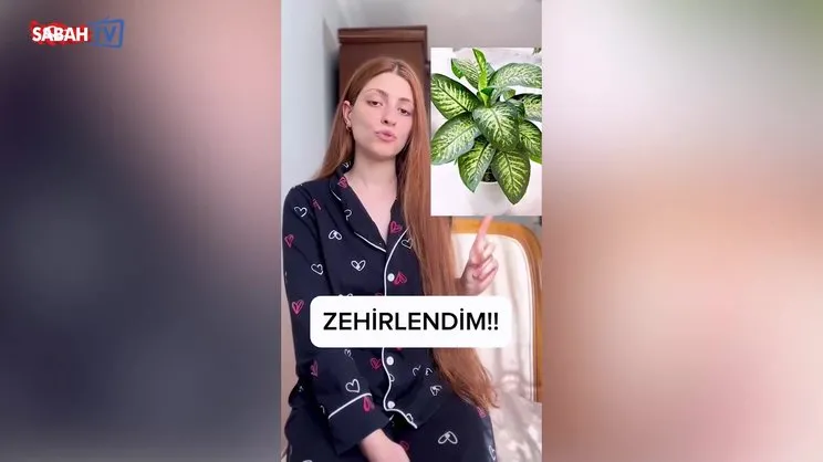 Her evde bulunan bu çiçek zehir saçıyor! Genç kadın ölümden döndü | Video