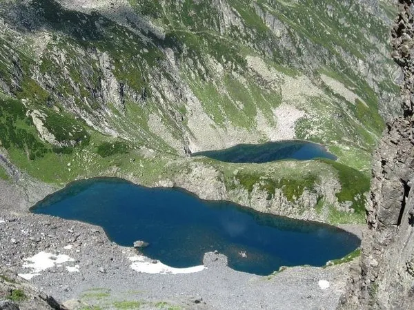 Doğu Karadeniz'de 117 tane var