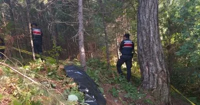 Zonguldak’ta ayı saldırısına uğrayan kişi öldü