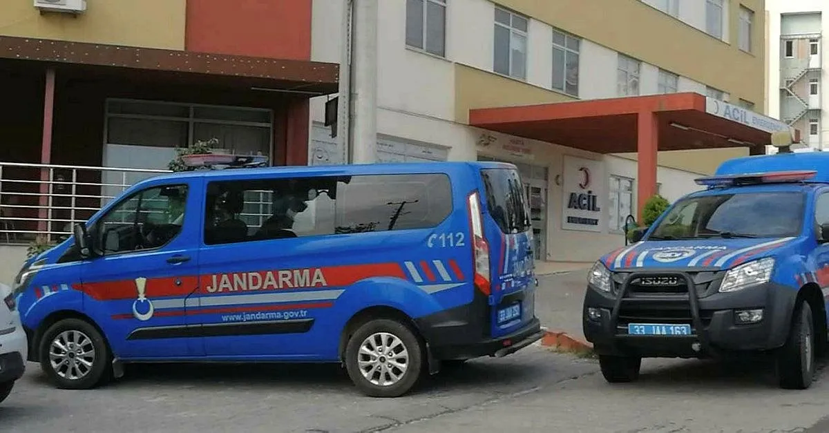 Kopek Sutu Icti Kavgasi 3 Olu Son Dakika Haberler