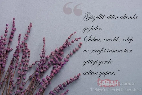 Doğum yıl dönümde Mevlana'yı anıyoruz...Mevlana'nın 10 özlü sözü