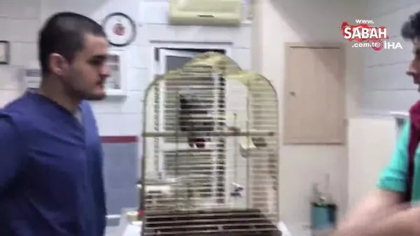 Bakan Pakdemirli’den papağana işkence videosuna ilişkin açıklama