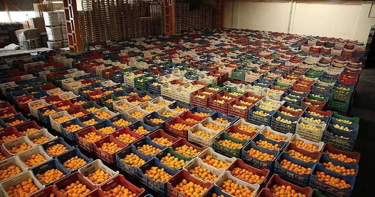 Rusya, Türkiye’nin yaş meyve sebze ihracatındaki liderliğini korudu