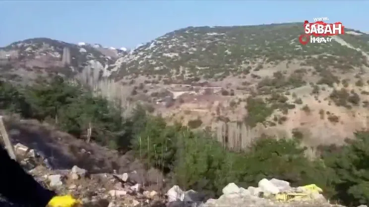 Tedavi edilen atmaca doğaya salındı