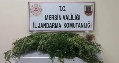 Mersin’de Jandarmadan uyuşturucu operasyonu