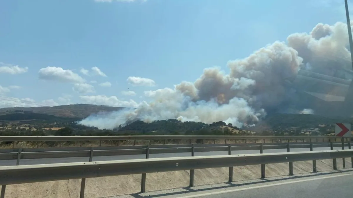 Çanakkale'de Orman Yangını: Son Dakika Gelişmeleri ve Müdahale Detayları