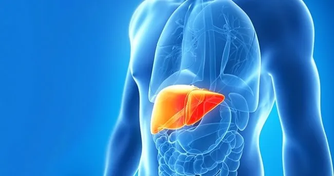 karaciger nakli sonrasinda iyilesme