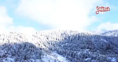 Beyaza bürünen Ilgaz Dağı’nın eteklerindeki yaylalarda kartpostallık görüntüler ortaya çıktı | Video