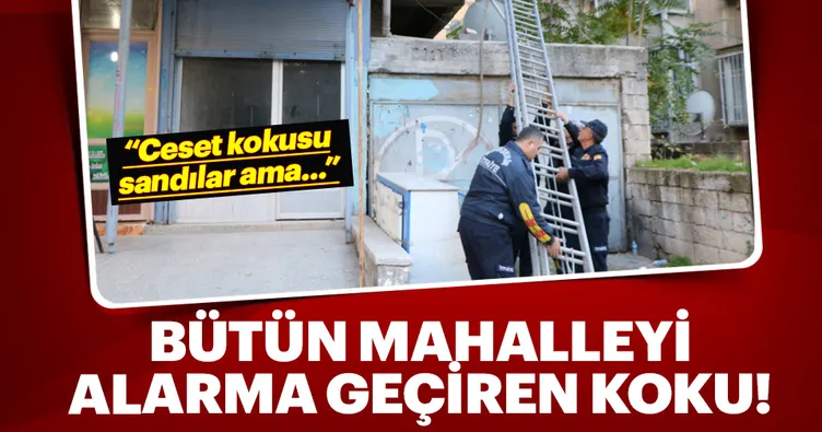 Mahalleliyi ayağa kaldıran koku...