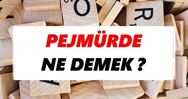Pejmürde Ne Demek? TDK’ya Göre Pejmürde Sözlük Anlamı Nedir?