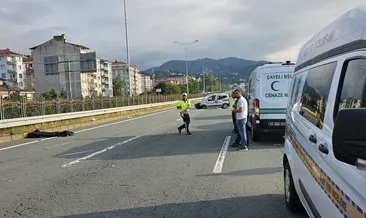 Rize'deki 2 kardeşin öldüğü kazaya arı sebep oldu #rize