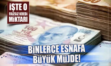 235 bin esnaf KOSGEB’i bekliyor