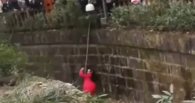 Korku dolu anlar! Küçük kız hayvanat bahçesinde kafese düştü