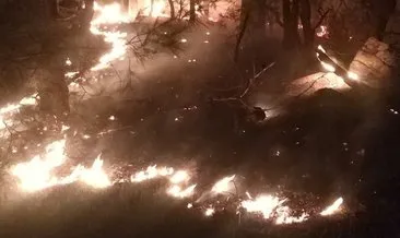 İzmir’deki orman yangını kontrol altına alındı #izmir