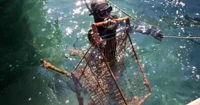 Denizden alışveriş arabası çıktı!