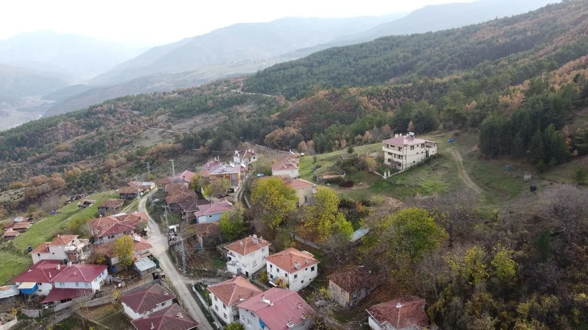 Mantar toplamaya çıktı ölü bulundu