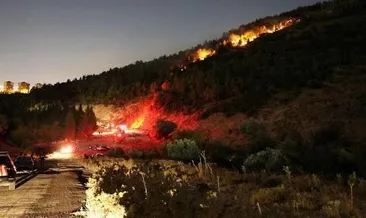 İzmir’de orman yangınına müdahale sürüyor